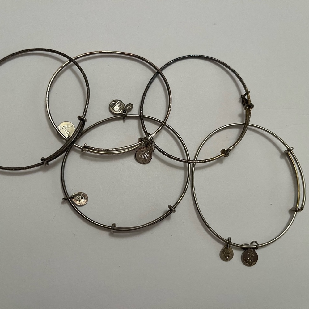 Alex and Ani Silver Charm Bracelet Set